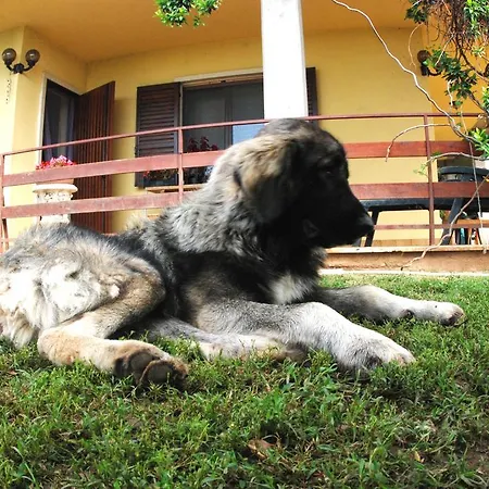 Casa Elisa Caselle di Sommacampagna