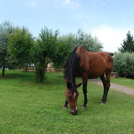Casa Elisa Oda ve Kahvaltı Caselle Di Sommacampagna