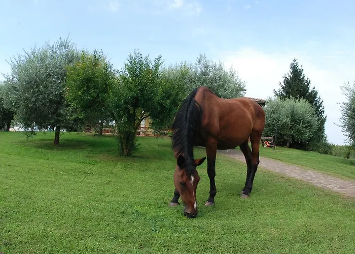 Casa Elisa Panzió Caselle di Sommacampagna